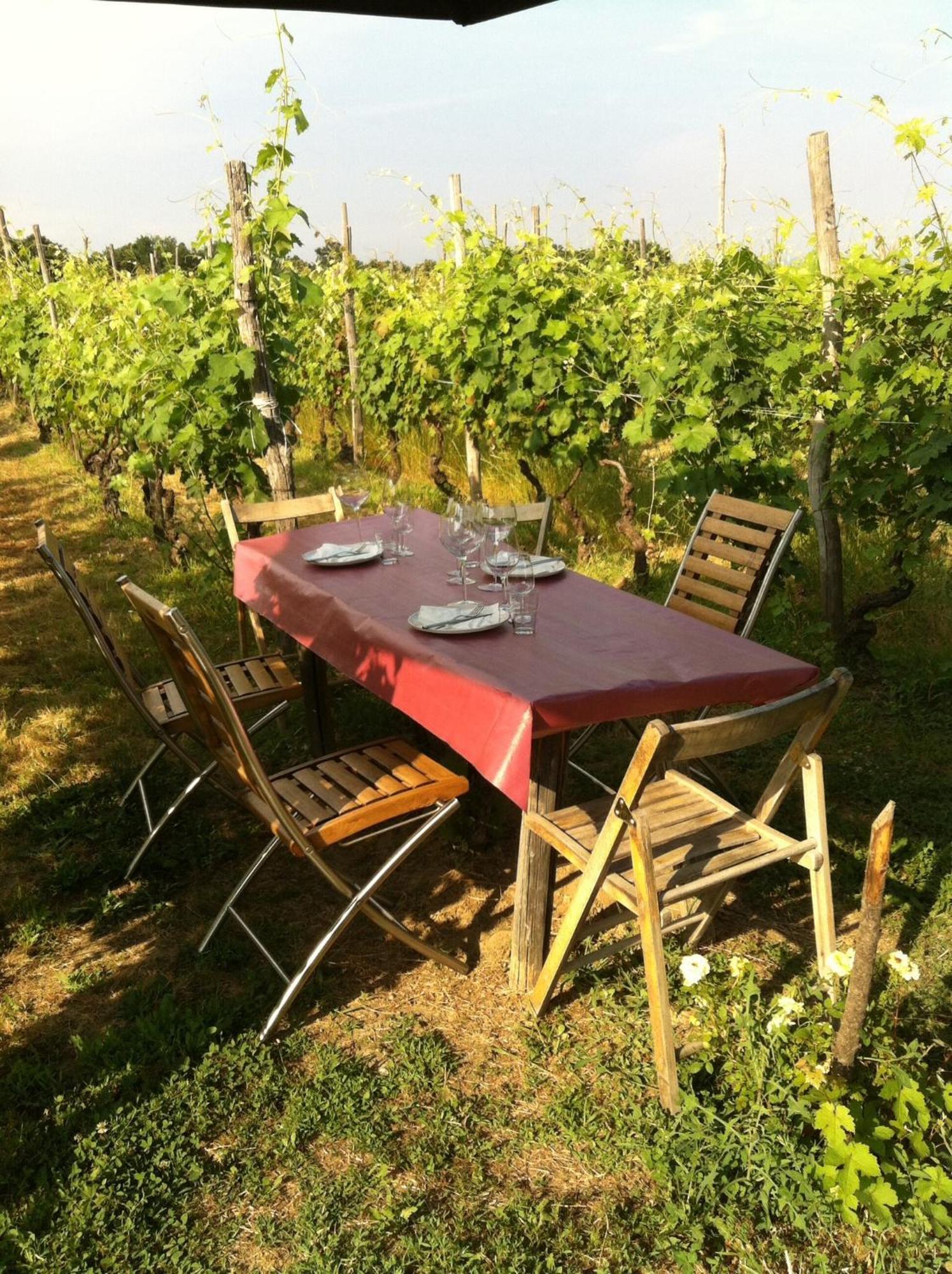 Вилла Cascina La Maddalena Bed & Wine Rocca Grimalda Экстерьер фото