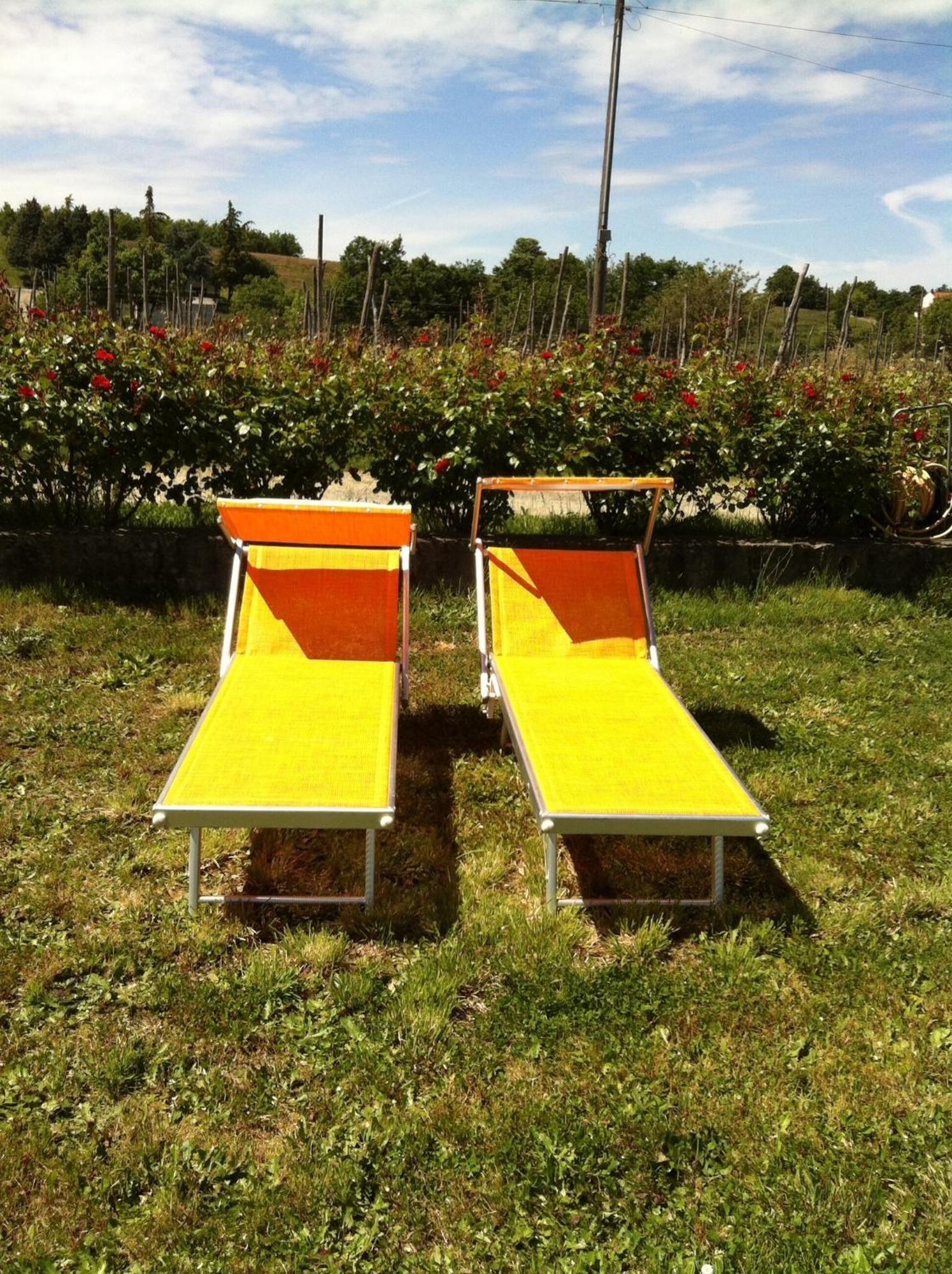 Вилла Cascina La Maddalena Bed & Wine Rocca Grimalda Экстерьер фото