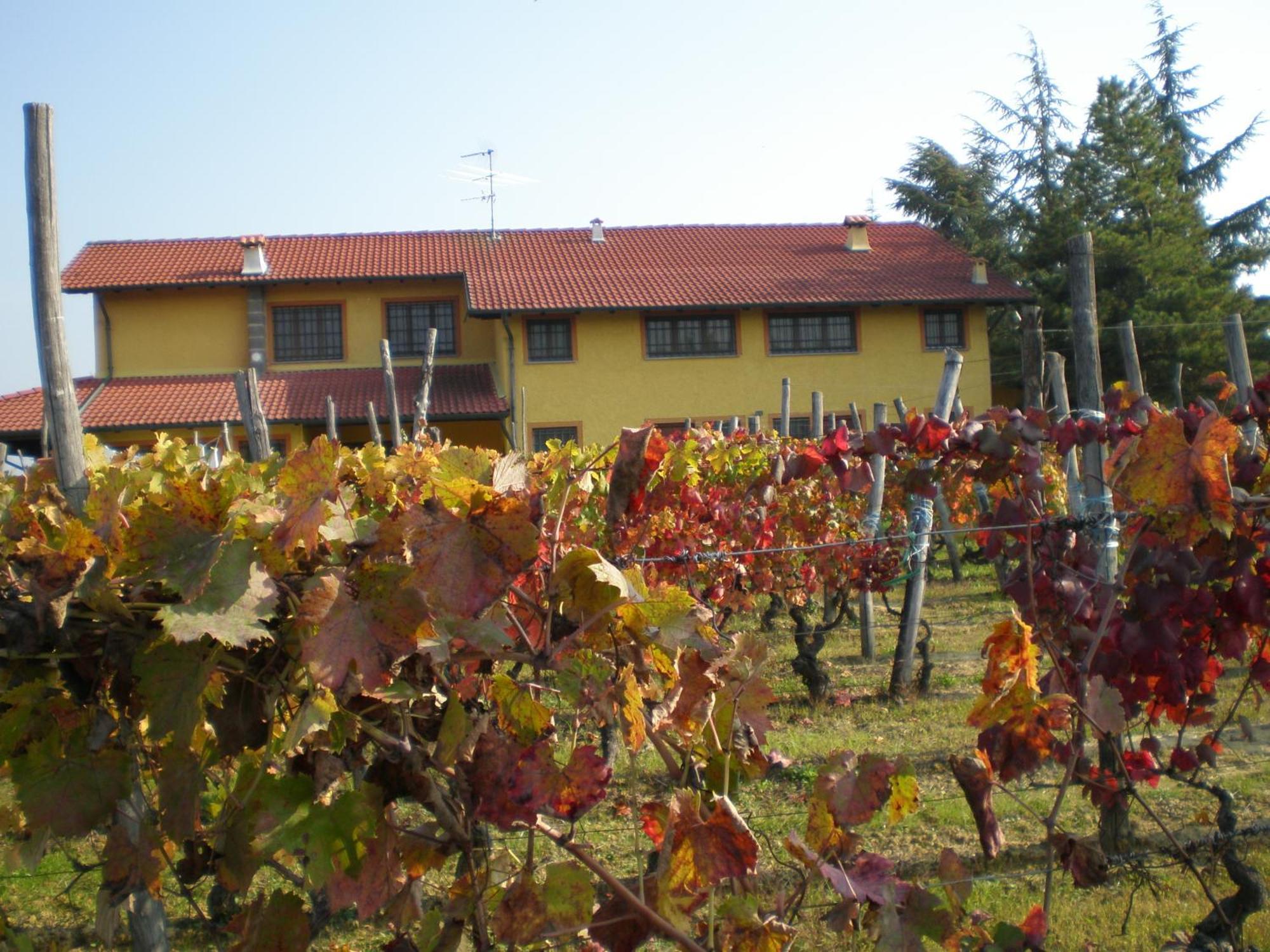 Вилла Cascina La Maddalena Bed & Wine Rocca Grimalda Экстерьер фото