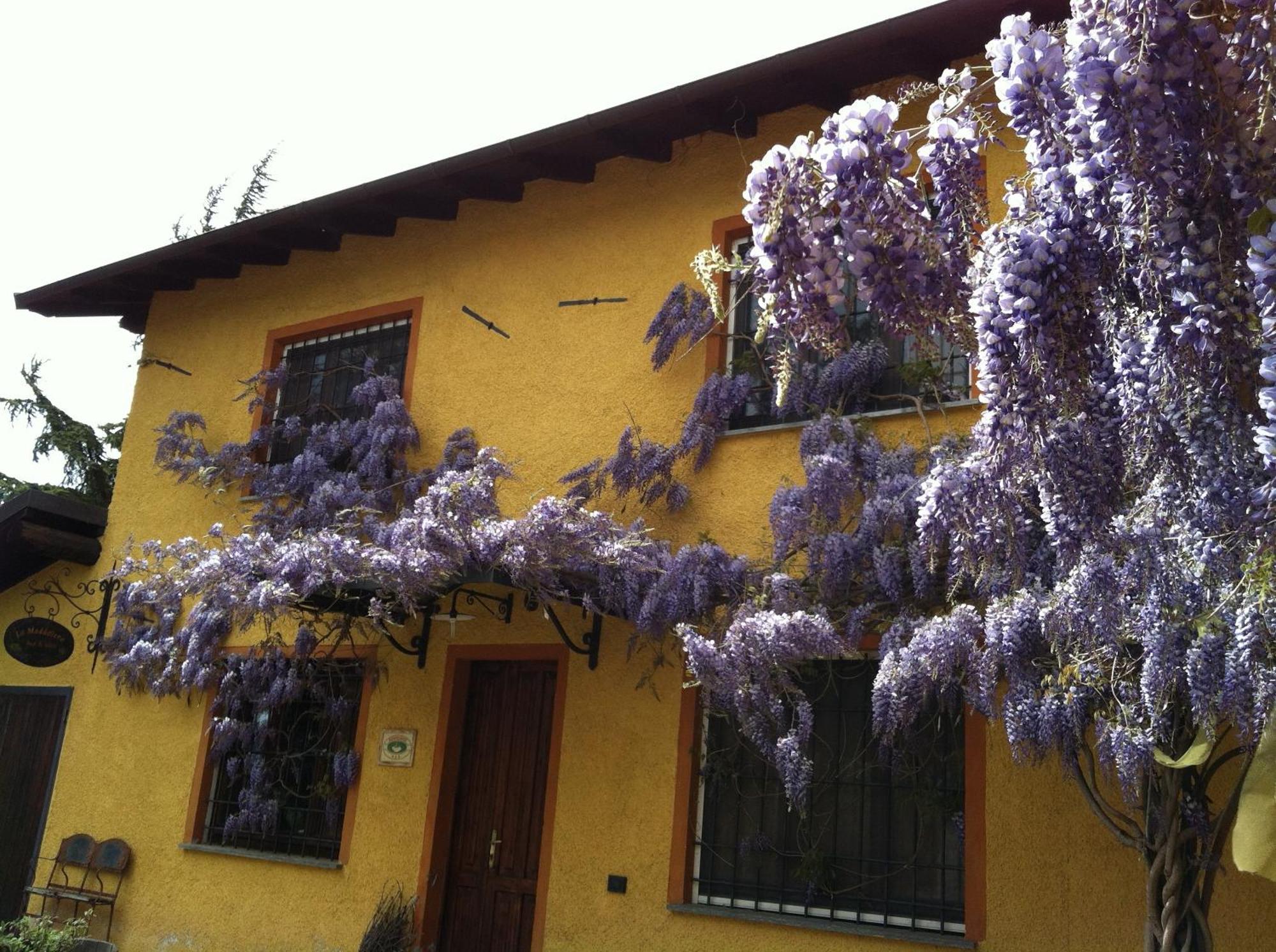 Вилла Cascina La Maddalena Bed & Wine Rocca Grimalda Экстерьер фото