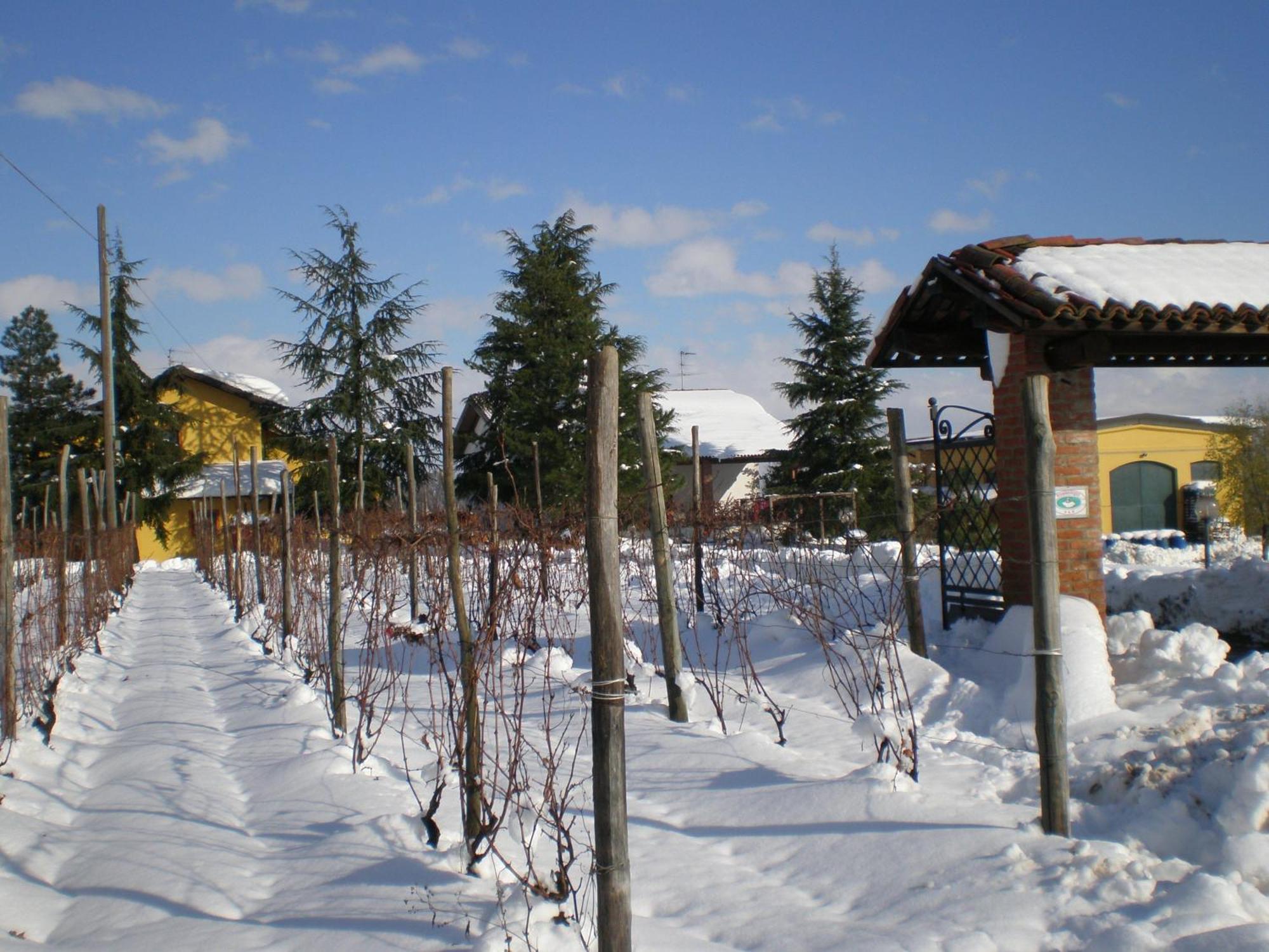 Вилла Cascina La Maddalena Bed & Wine Rocca Grimalda Экстерьер фото